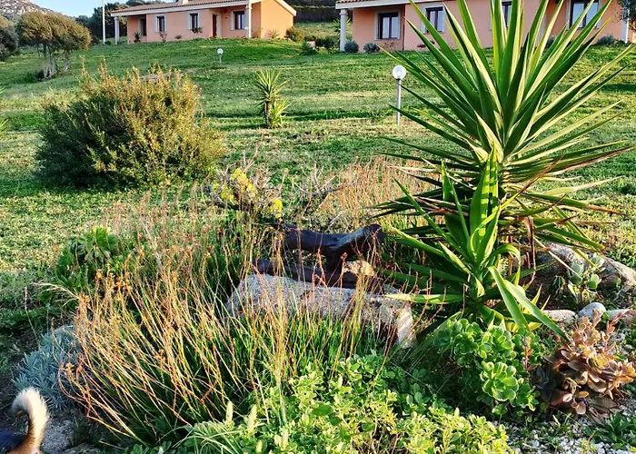 Gli Olivastri Corbezzolo Con Piscina E Vista Mare,climatizzatore,wifi أغلينتو