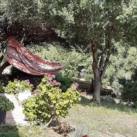 アパート Gli Olivastri Corbezzolo Con Piscina E Vista Mare,climatizzatore,wifi アリエントゥ