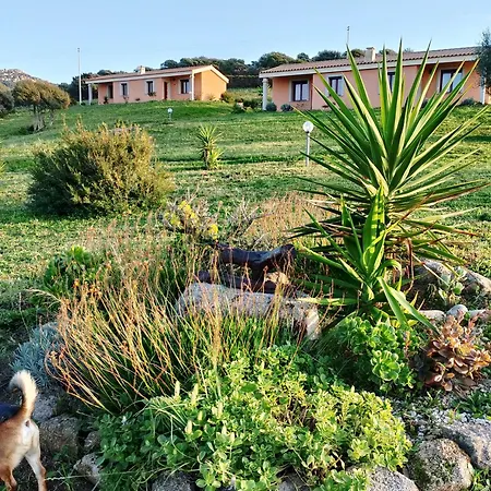 Gli Olivastri Corbezzolo Con Piscina E Vista Mare,climatizzatore,wifi Aglientu