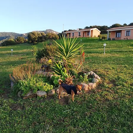 Gli Olivastri Corbezzolo Con Piscina E Vista Mare,climatizzatore,wifi Apartmán