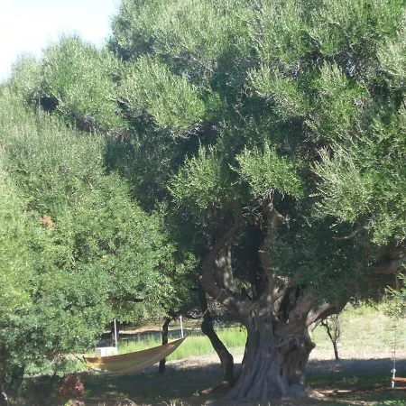 Gli Olivastri Corbezzolo Con Piscina E Vista Mare,climatizzatore,wifi