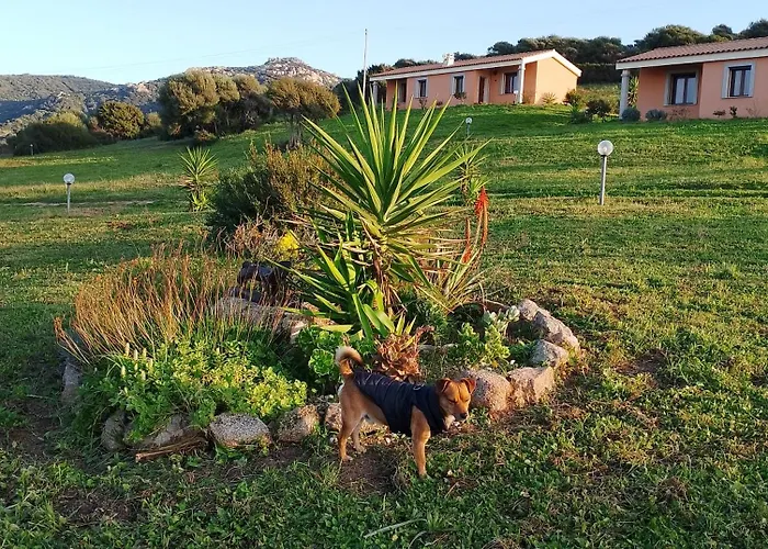 Gli Olivastri Corbezzolo Con Piscina E Vista Mare,climatizzatore,wifi Апартаменты