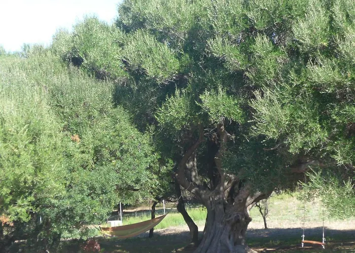 Gli Olivastri Corbezzolo Con Piscina E Vista Mare,climatizzatore,wifi